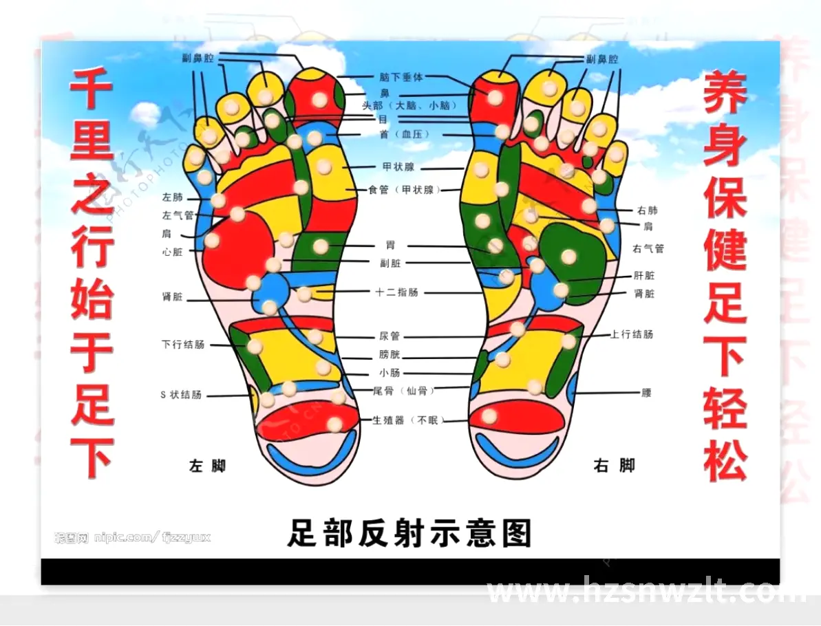 体验分享